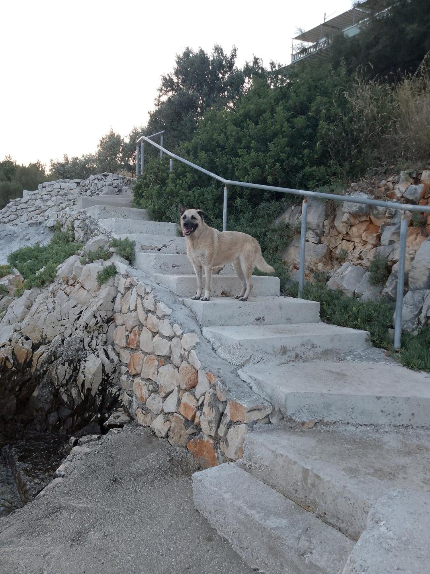 Villa Pinky And Superior Trogir Сегет-Враниця Екстер'єр фото